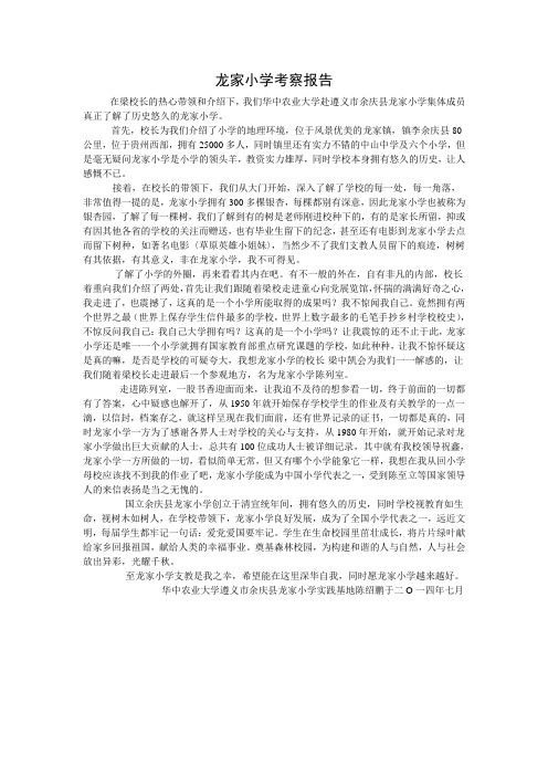 龙家小学考察报告陈绍鹏