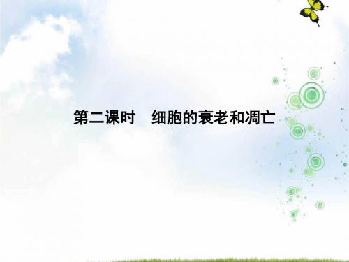 高中生物苏教版必修1课件：5.2.2 细胞的衰老和凋亡