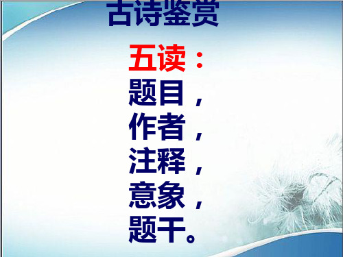 诗歌鉴赏专题