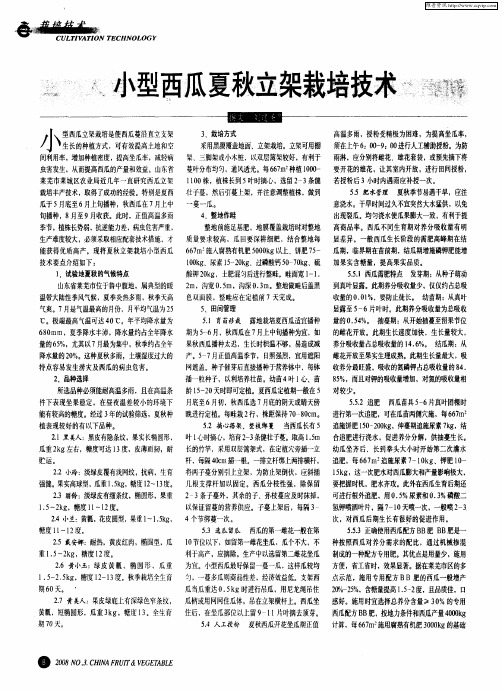 小型西瓜夏秋立架栽培技术