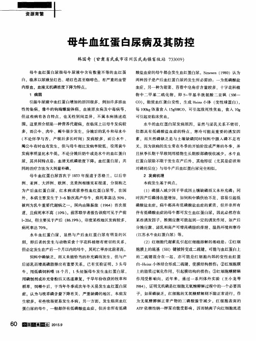 母牛血红蛋白尿病及其防控