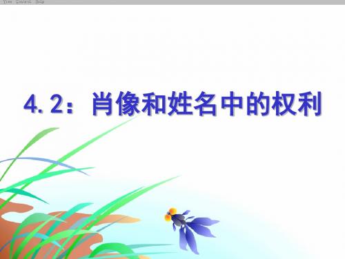 人教版八下思品第四课第二节《肖像和姓名中的权利》课件(10)