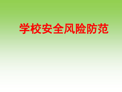 学校安全风险防范.ppt