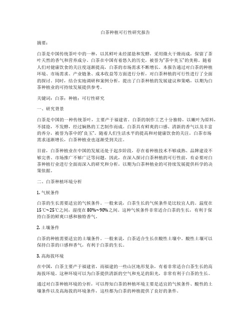 白茶种植可行性研究报告