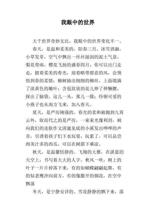 我眼中的世界
