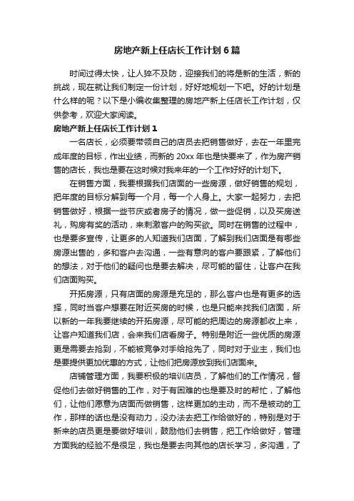 房地产新上任店长工作计划6篇