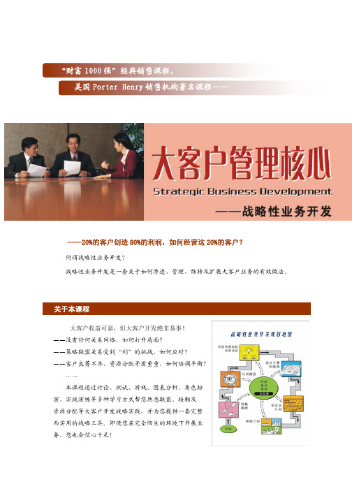 大客户管理核心 战略性业务开发
