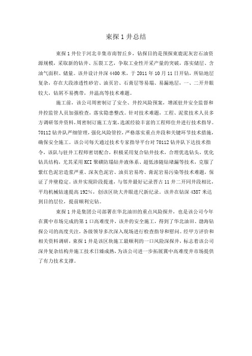 束探1井总结
