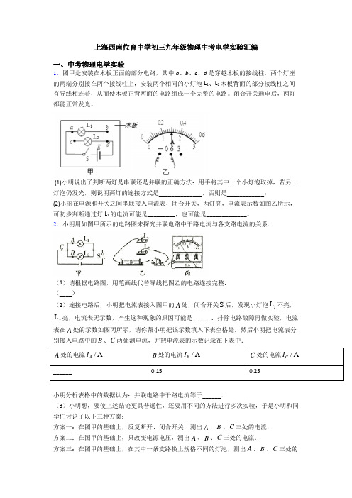 上海西南位育中学初三九年级物理中考电学实验汇编