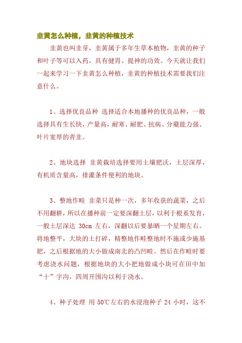 韭黄怎么种植,韭黄的种植技术