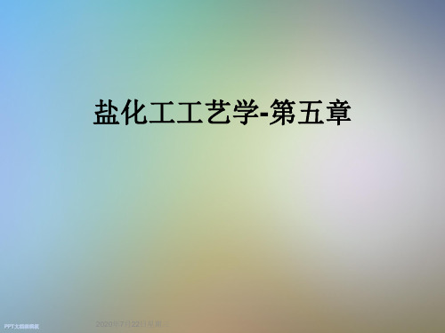 盐化工工艺学-第五章