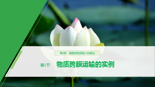 2019-2020学年新素养人教版高中生物必修一课件：第4章 细胞的物质输入和输出 第1节 