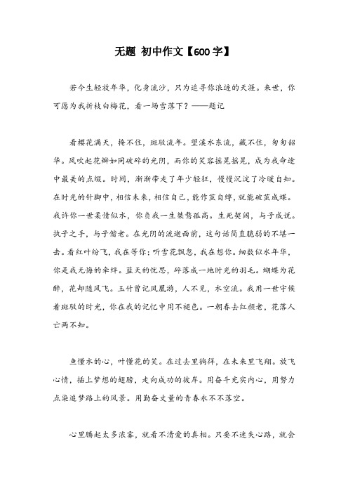 无题 初中作文【600字】_5