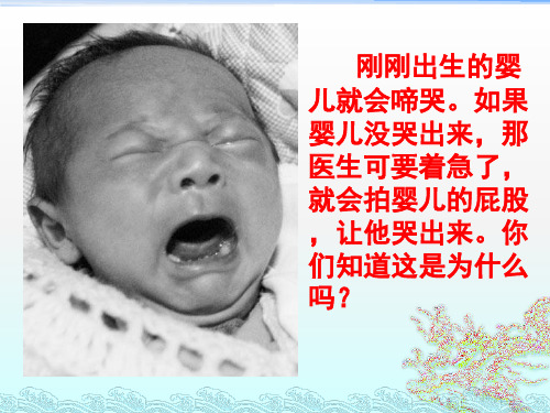 人教版七下生物 3.1呼吸道对空气的处理 课件 (共24张PPT)