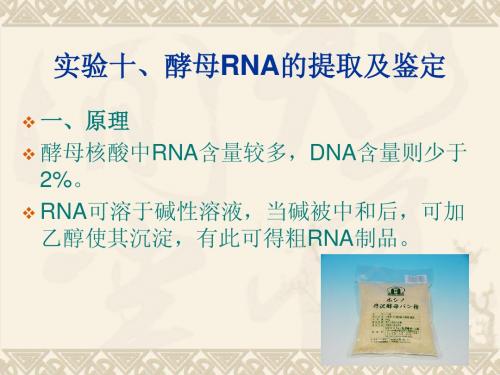 生物化学实验-- 酵母RNA的提取及