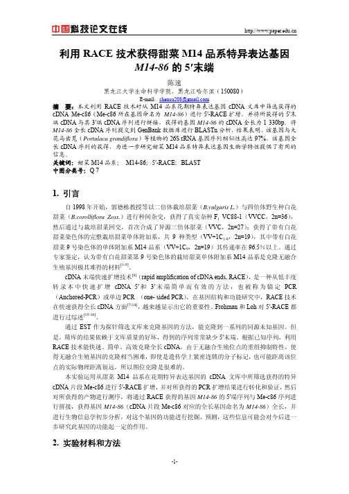 利用RACE技术获得甜菜M14品系特异表达基因M14-86的5′末端