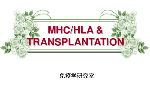 免疫学-主要组织相容复合物(MHC)