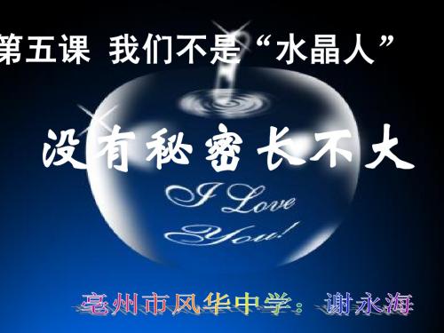《没有秘密长不大》课件