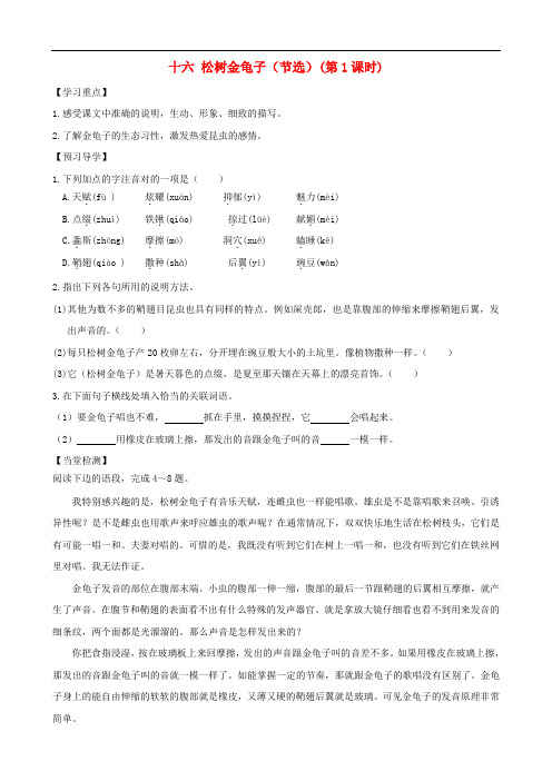 七年级语文下册 16《松树金龟子(节选)》精品导学案 苏教版
