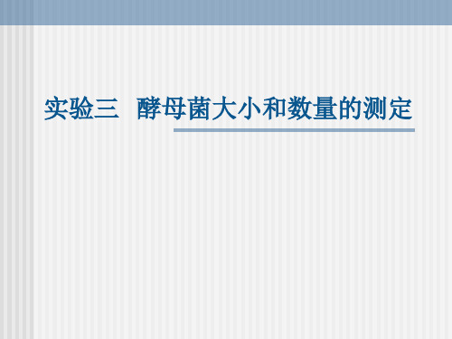 实验三 酵母菌大小和数量测定