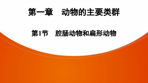 人教版生物八年级全册练习课件第5单元 第1章 第1节 腔肠动物和扁形动物