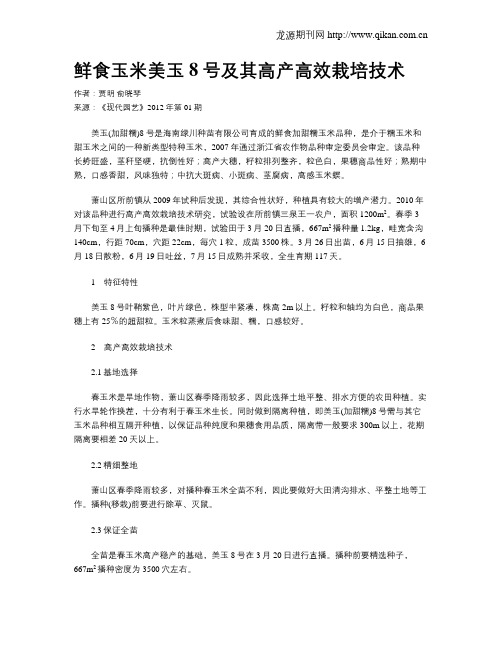 鲜食玉米美玉8号及其高产高效栽培技术