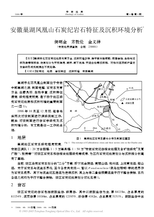 安徽巢湖凤凰山石炭纪岩石特征及沉积环境分析