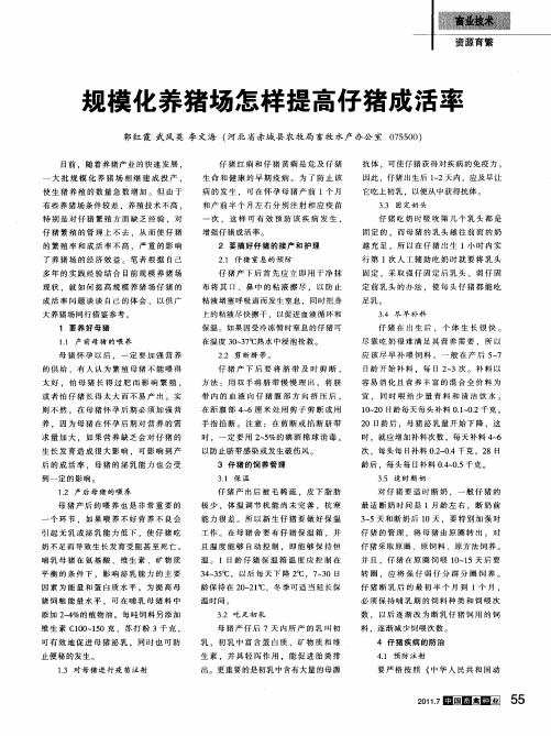 规模化养猪场怎样提高仔猪成活率