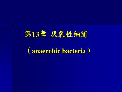 2011厌氧性细菌