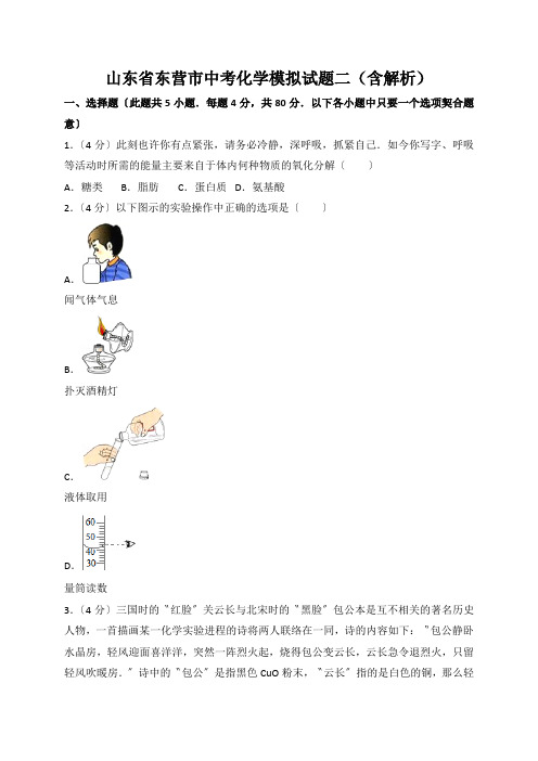 山东省东营市中考化学模拟试题二(含解析)