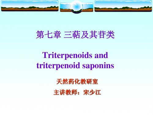 天然产物化学全套 - 理化性质