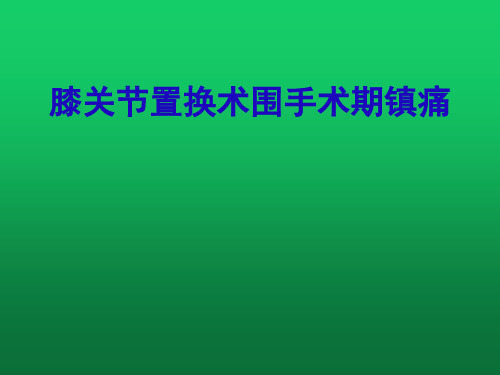 膝关节置换术围手术期镇痛