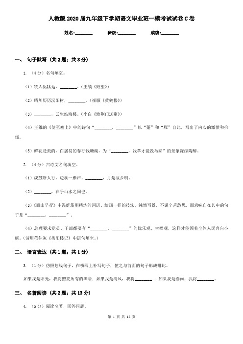 人教版2020届九年级下学期语文毕业班一模考试试卷C卷