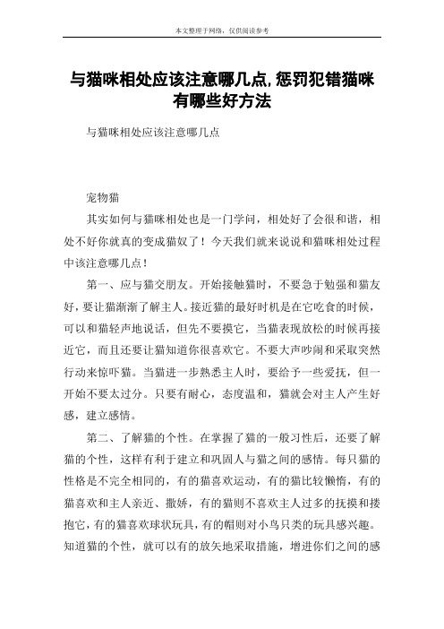 与猫咪相处应该注意哪几点,惩罚犯错猫咪有哪些好方法