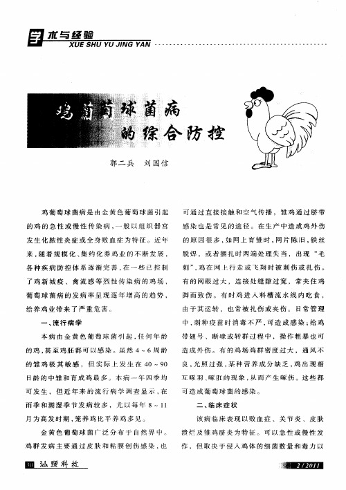 鸡葡萄球菌病的综合防控