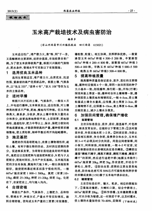玉米高产栽培技术及病虫害防治