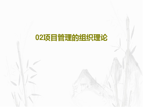 02项目管理的组织理论39页PPT