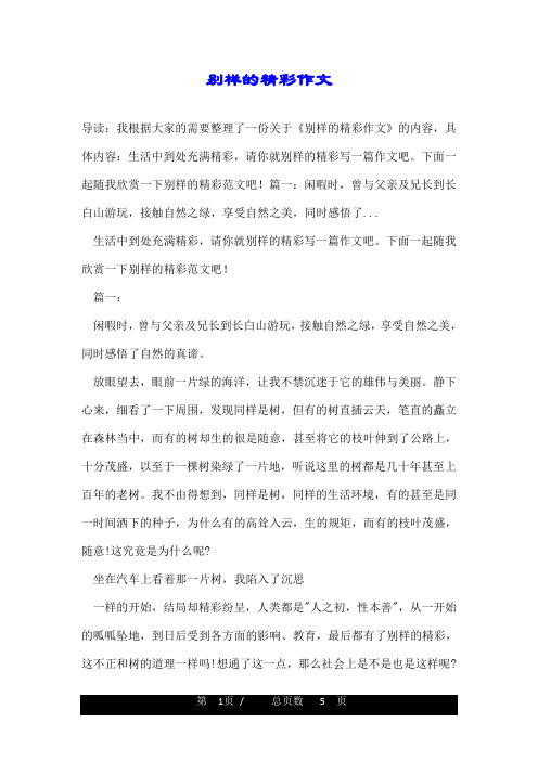 别样的精彩作文