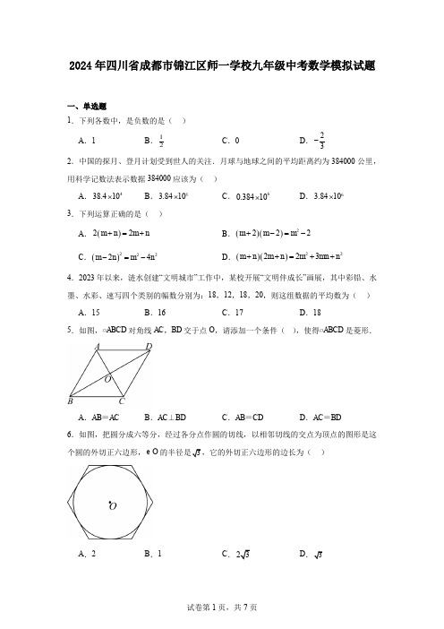 2024年四川省成都市锦江区师一学校九年级中考数学模拟试题