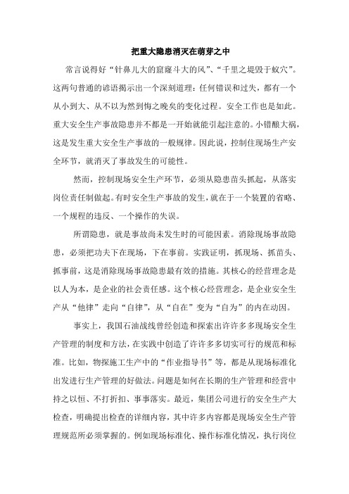 把重大隐患消灭在萌芽之中