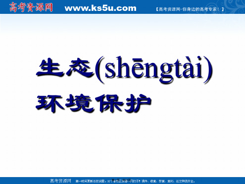 地理选修人教版课件森林及其保护