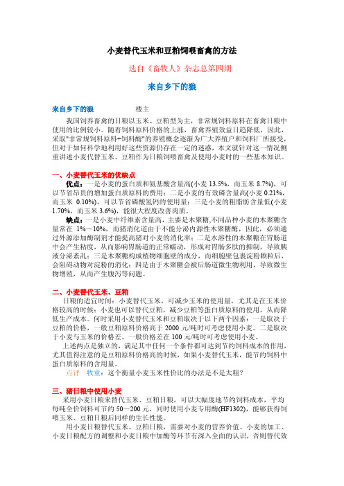 小麦替代玉米和豆粕饲喂畜禽的方法