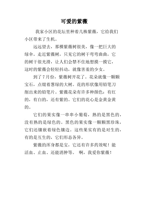 可爱的紫薇