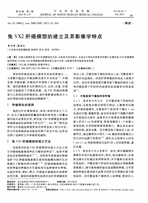 兔VX2肝癌模型的建立及其影像学特点