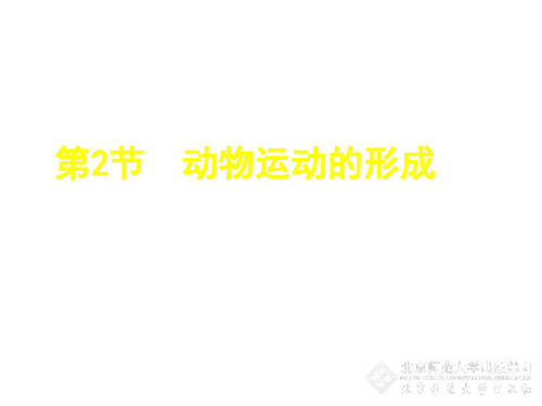 北师大版初中生物八年级上册 5.15.2 动物运动的形成 课件 (共28张PPT)