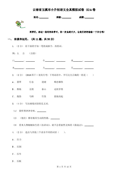 云南省玉溪市小升初语文全真模拟试卷 (5)A卷