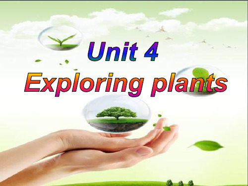 人教版高中英语选修9课件：Unit 4 Exploring plants Language points(共41张PPT)