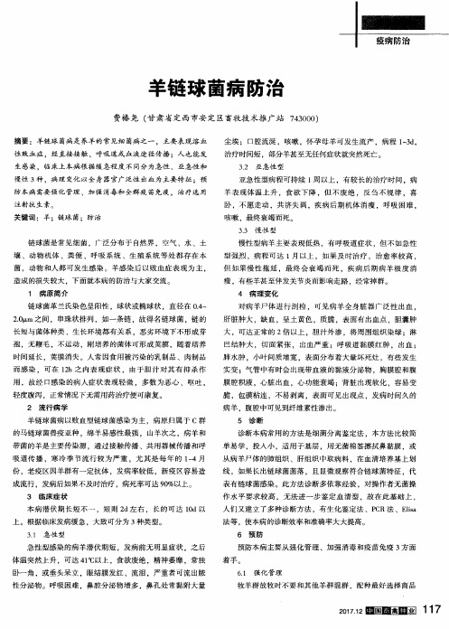 羊链球菌病防治