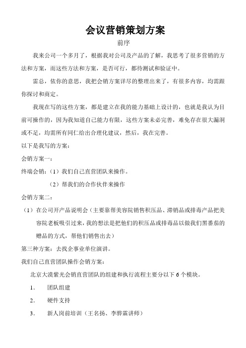 会议营销策划方案word文档模板_