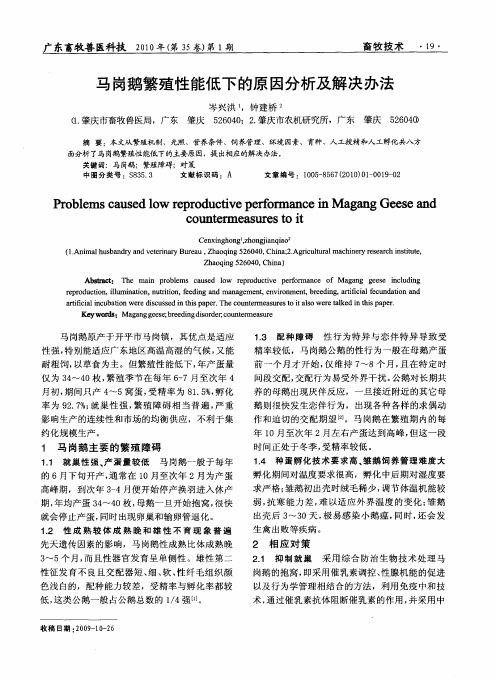 马岗鹅繁殖性能低下的原因分析及解决办法